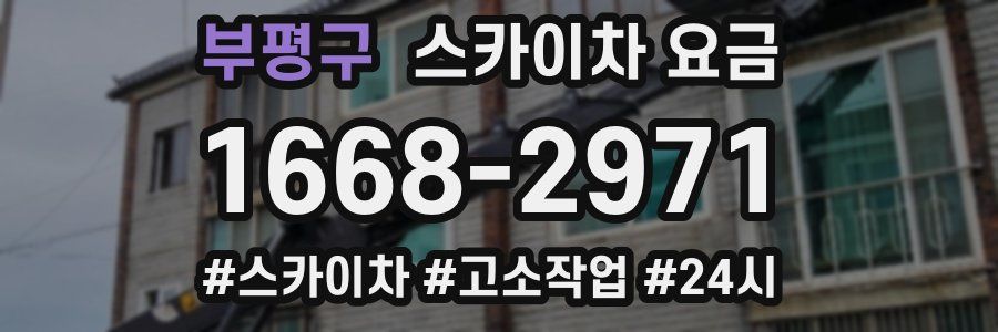 부평구 스카이차 요금