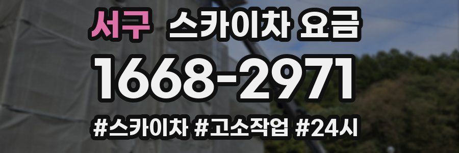 서구 스카이차 요금