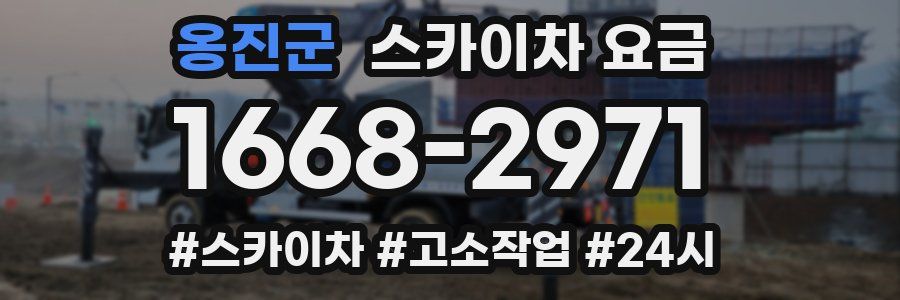 옹진군 스카이차 요금