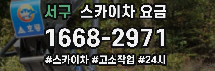 서구 스카이차 요금