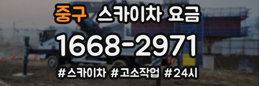 중구 스카이차 요금