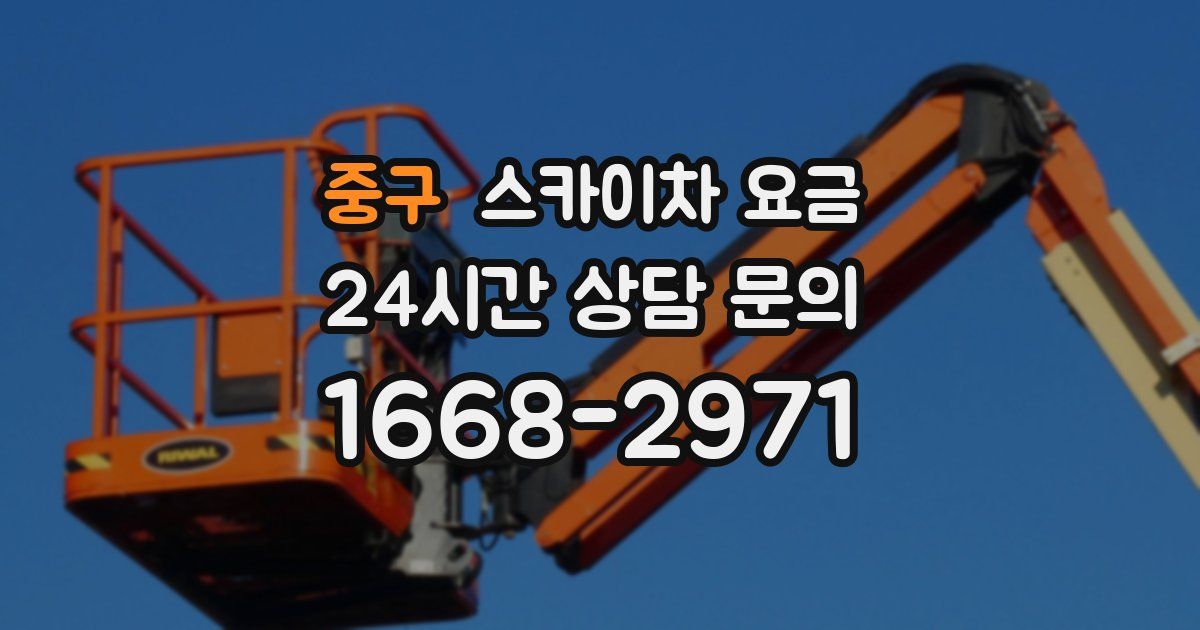 중구 스카이차 요금