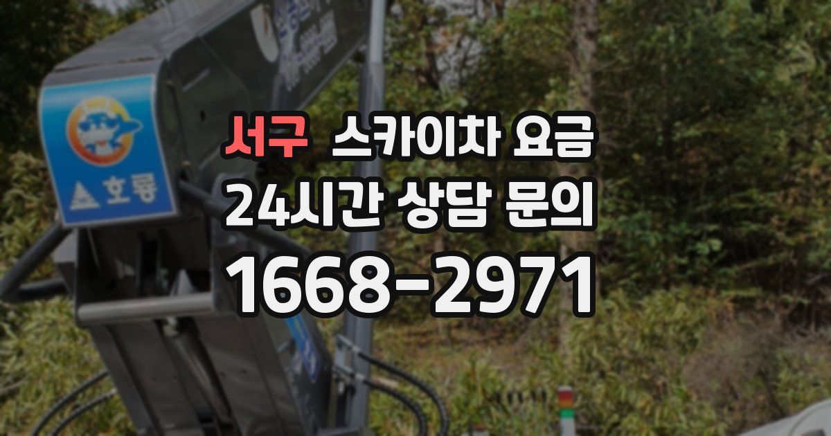 서구 스카이차 요금