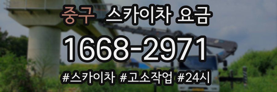 중구 스카이차 요금