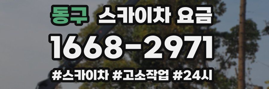 동구 스카이차 요금