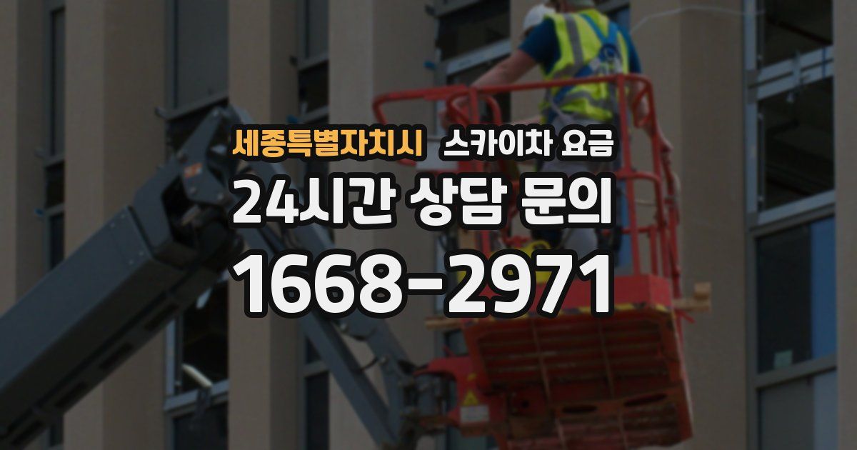 세종특별자치시 스카이차 요금