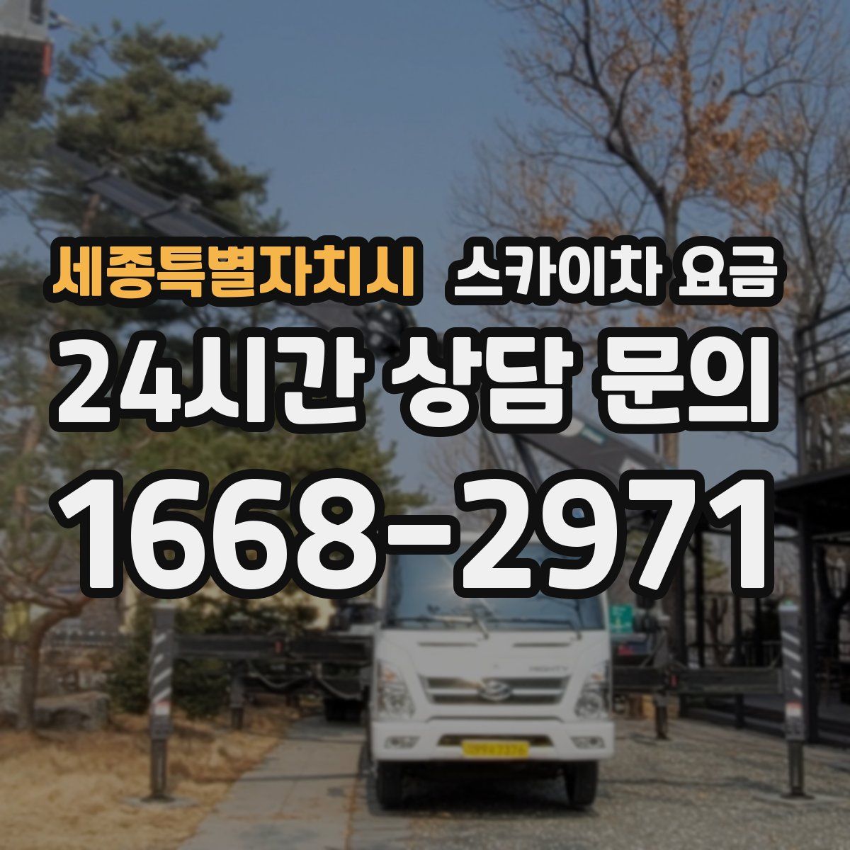 세종특별자치시 스카이차 요금