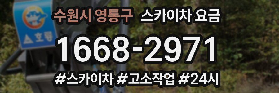 수원시 영통구 스카이차 요금