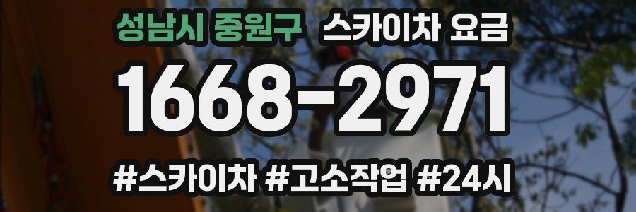 성남시 중원구 스카이차 요금