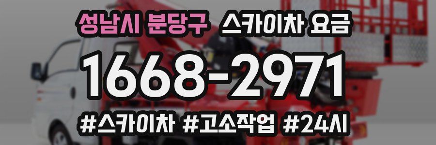 성남시 분당구 스카이차 요금