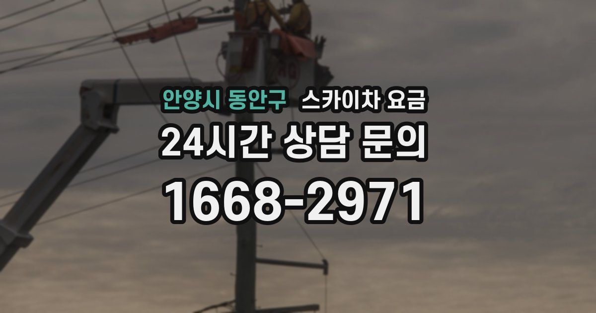 안양시 동안구 스카이차 요금