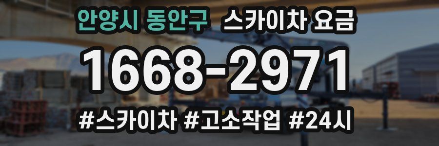 안양시 동안구 스카이차 요금
