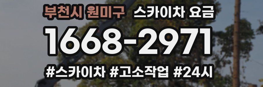 부천시 원미구 스카이차 요금