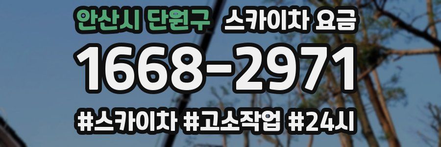 안산시 단원구 스카이차 요금