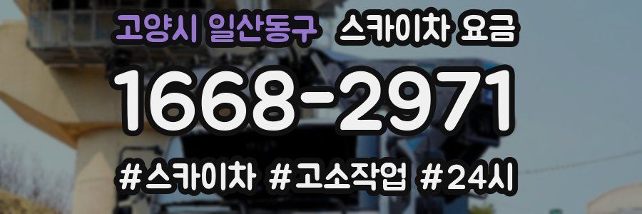 고양시 일산동구 스카이차 요금