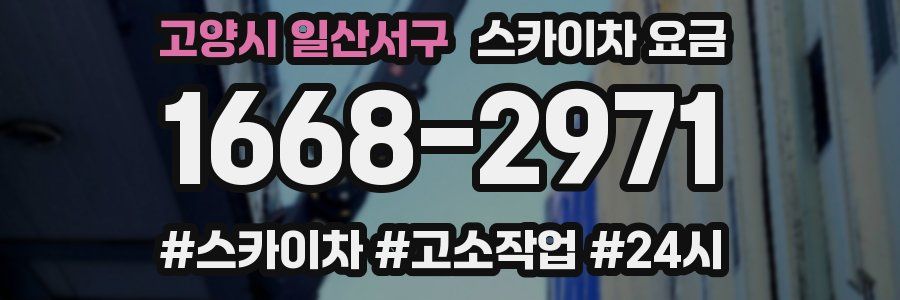 고양시 일산서구 스카이차 요금