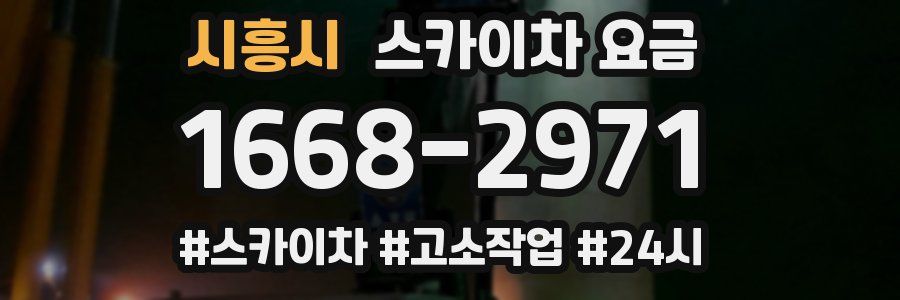 시흥시 스카이차 요금