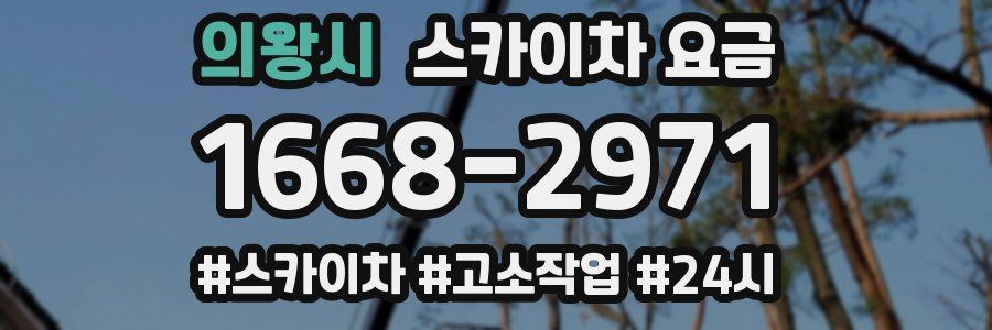 의왕시 스카이차 요금