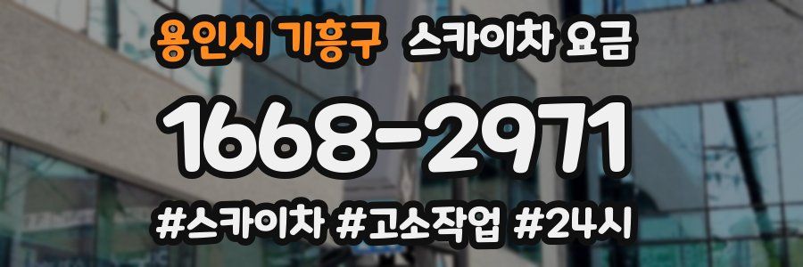 용인시 기흥구 스카이차 요금