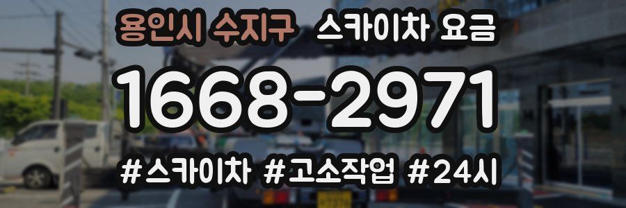 용인시 수지구 스카이차 요금