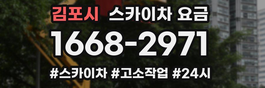 김포시 스카이차 요금