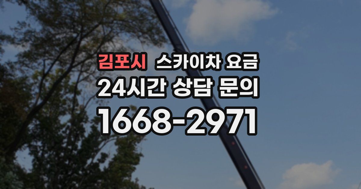 김포시 스카이차 요금