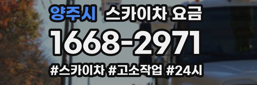 양주시 스카이차 요금