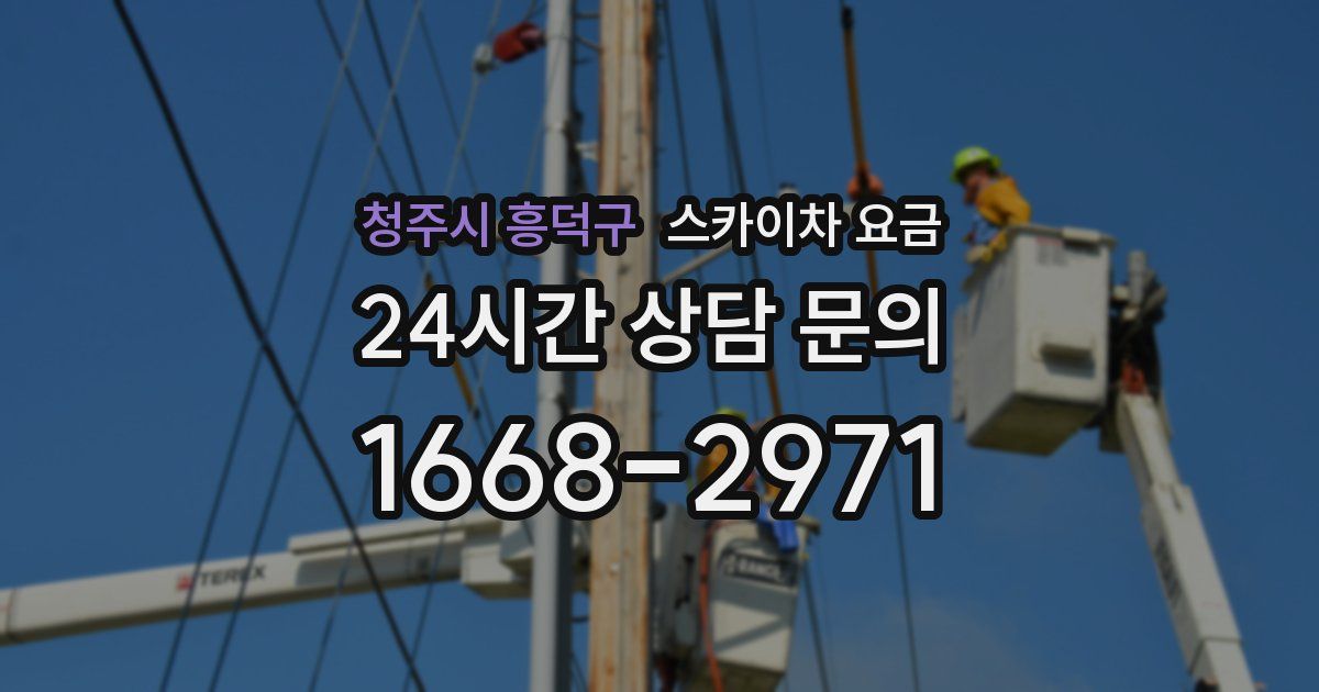 청주시 흥덕구 스카이차 요금