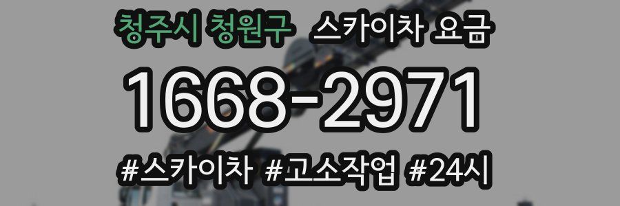 청주시 청원구 스카이차 요금