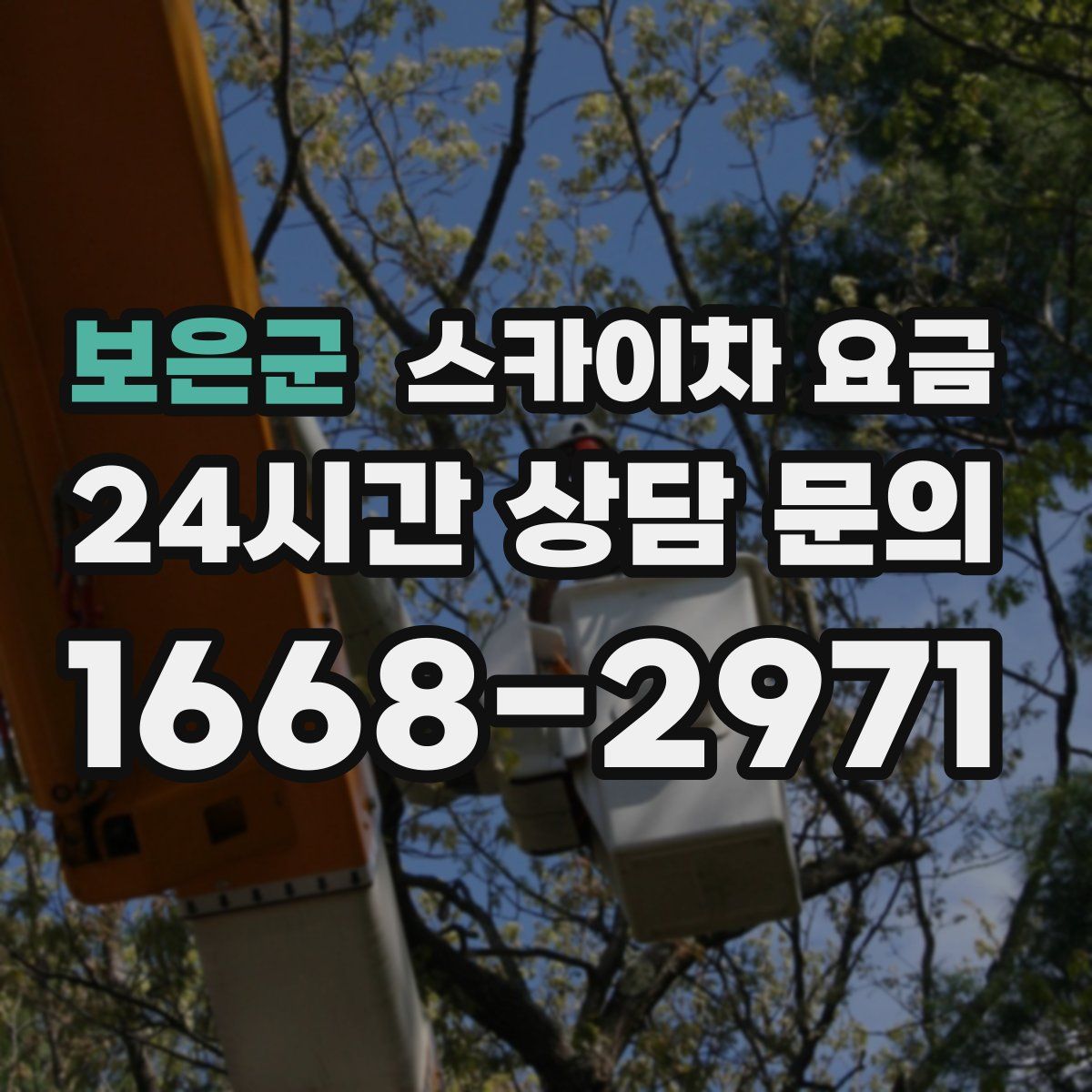 보은군 스카이차 요금