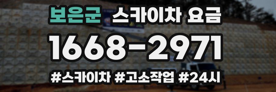 보은군 스카이차 요금