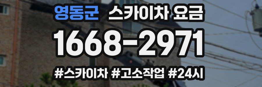 영동군 스카이차 요금