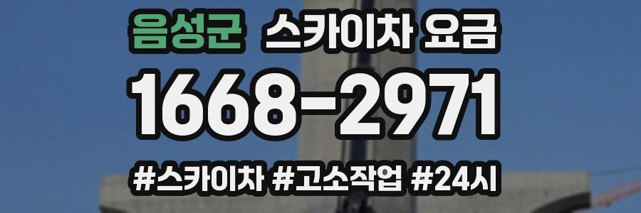 음성군 스카이차 요금