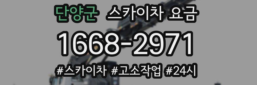 단양군 스카이차 요금