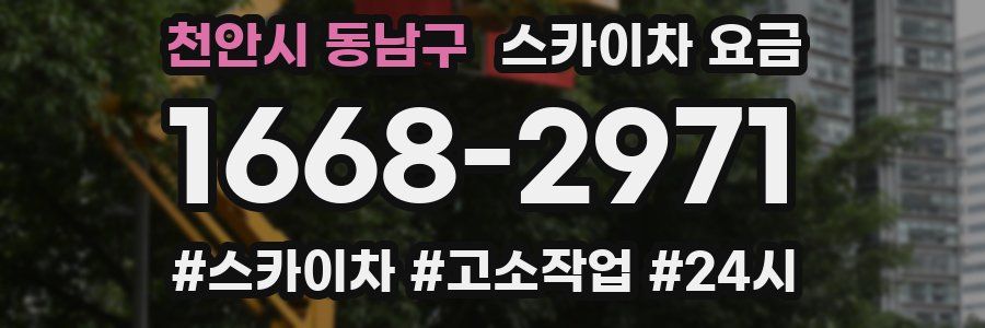 천안시 동남구 스카이차 요금