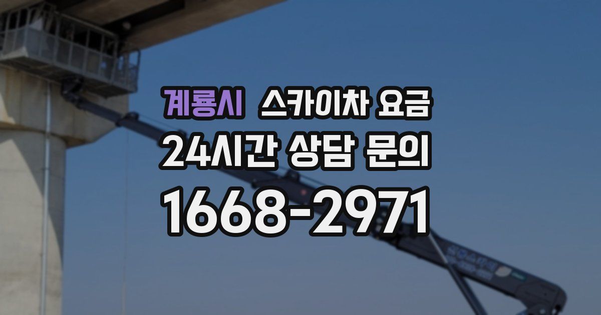 계룡시 스카이차 요금