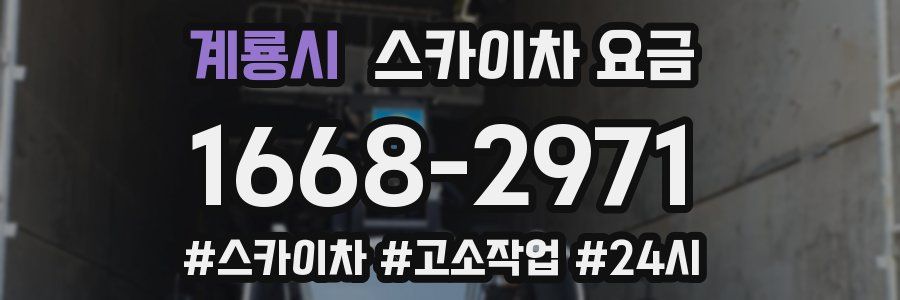 계룡시 스카이차 요금