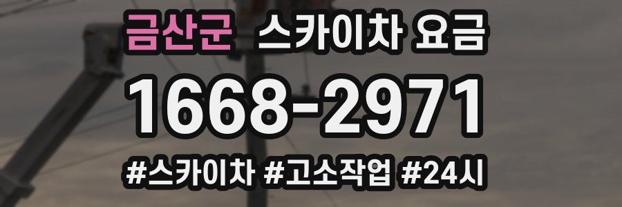 금산군 스카이차 요금