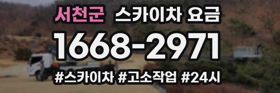 서천군 스카이차 요금