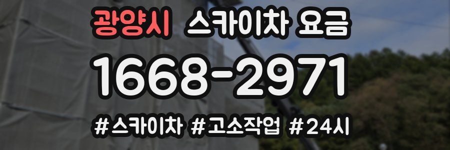 광양시 스카이차 요금