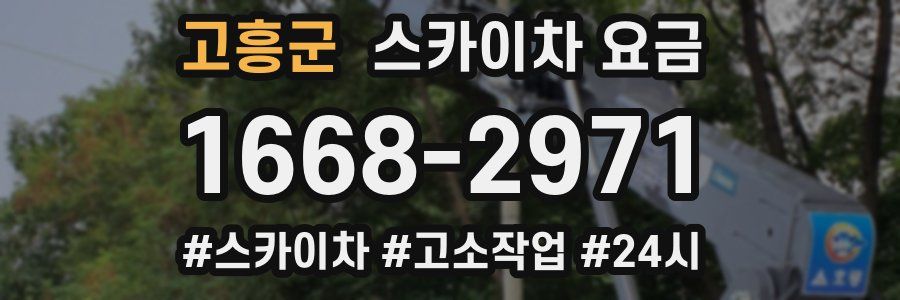 고흥군 스카이차 요금