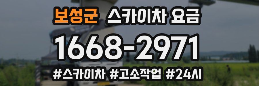 보성군 스카이차 요금