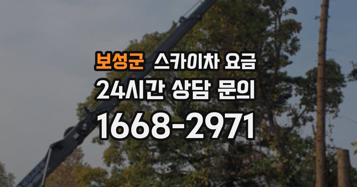 보성군 스카이차 요금