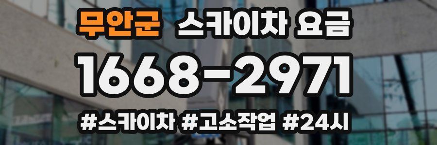 무안군 스카이차 요금