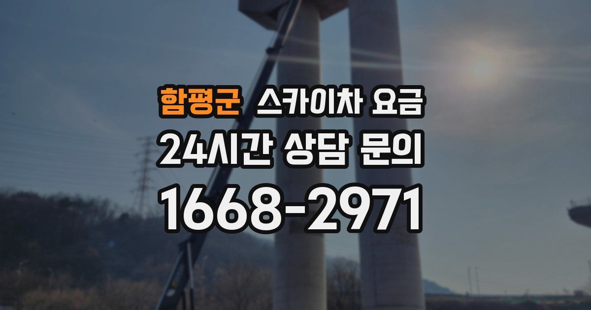 함평군 스카이차 요금