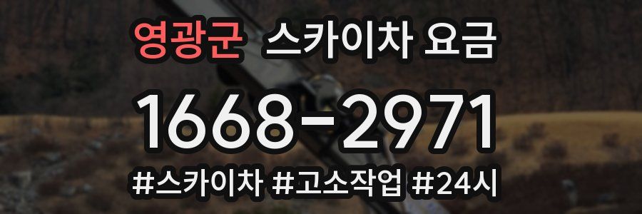 영광군 스카이차 요금