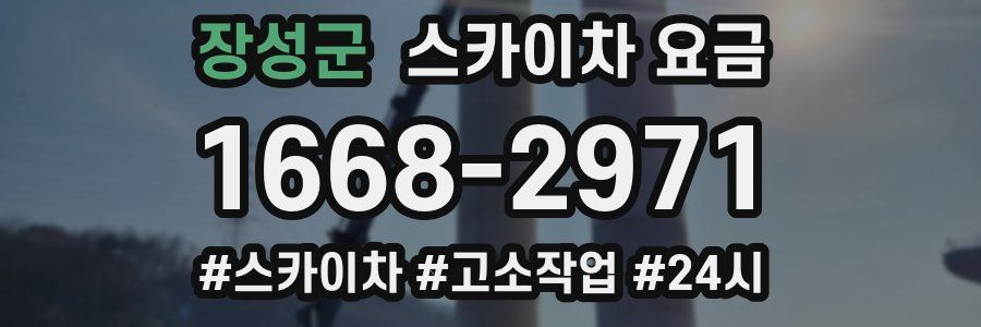 장성군 스카이차 요금