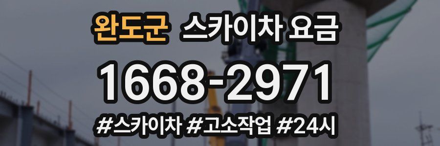 완도군 스카이차 요금