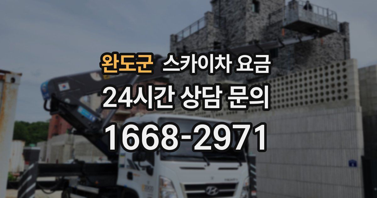 완도군 스카이차 요금