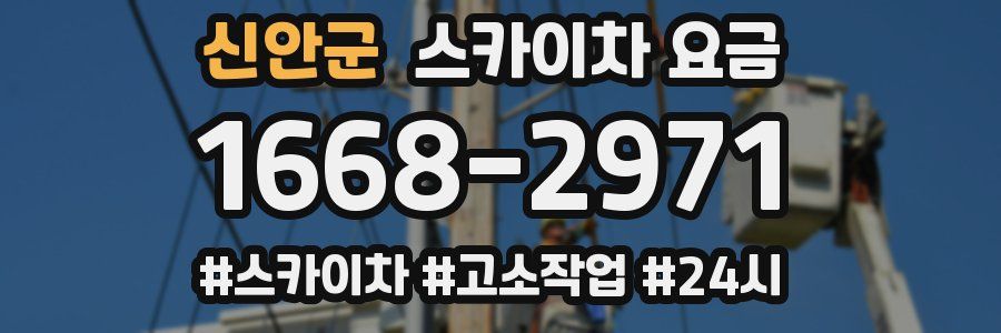 신안군 스카이차 요금